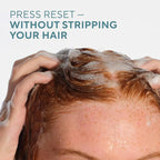 Native Cashmere & Rain Shampoo and Conditioner Contain Naturally Derived Ingredients | All Hair Types, Color & Treated, Fine to Dry Damaged, Sulfate & Dye Free - 2-Pack