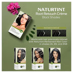 Naturtint Black Root Retouch Crème Permanent Hair Color - Ammonia Free, Conceal Grays, No Artificial Scent, 1.52 Fl Oz