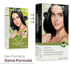 Naturtint Black Root Retouch Crème Permanent Hair Color - Ammonia Free, Conceal Grays, No Artificial Scent, 1.52 Fl Oz