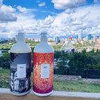 R+Co Bel Air Smoothing Shampoo and Conditioner Set 1L - Smoothing Shampoo + Conditioner Anti-Oxidant Complex | Vegan + Cruelty-Free