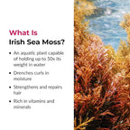 Love Ur Curls Irish Sea Moss Hair Gel, Medium Hold Hair Styling Curling Gel for Defined Curly Hair, Waves & Coils, Vegan, Cruelty Free, 236mL