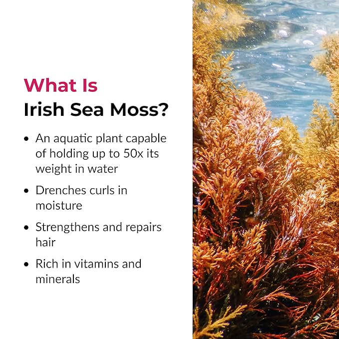 Love Ur Curls Irish Sea Moss Hair Gel, Medium Hold Hair Styling Curling Gel for Defined Curly Hair, Waves & Coils, Vegan, Cruelty Free, 236mL