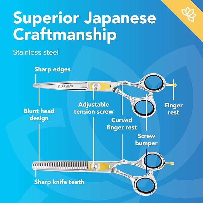 Equinox Professional Razor Edge Hair Cutting/Thinning Scissor Set/2, 6.5"