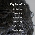 Hawthorne All Day Men's Shampoo and Conditioner Set. Sulfate Free Shampoo and Conditioner with Pure Avocado Oil and Aloe For Stronger, Healthier Hair. Night Swim Cologne Scent. 16 fl. oz. each.