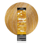 L'OREAL TECHNIQUE HiColor Browns & Blondes Permanent Hair Color - Lifts Dark Hair in One Step Leaving No Brassiness, Rich and Smooth Creme Formula, Intense & Long-Lasting, H16 Honey Blonde