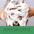 Shea Moisture Bond Repair Shampoo Amla Oil Deeply Cleanses And Removes Build Up To Repair Hair Bonds With Hydroplex Technology And Amla Oil With Restorative HydroPlex Infusion 13 Fl Oz