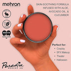 Mehron Makeup Paradise Makeup AQ Pro Size | Stage & Screen Performance, Face & Body Painting, Beauty, Cosplay, and Halloween | Water Activated Face Paint, Body Paint 1.4 oz (40 g) - Coral