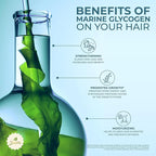 Naissant Energy Treatment Shampoo | Hair Growth Accelerator, Strengthener for Color Treated & Natural Hair | Enriched with Marine Glycogen & Natural Extracts to Prevent Hair Loss (10.1 Fl Oz)