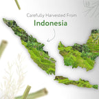 HBNO California Bottled Citronella Essential Oil 4 fl oz (120ml) - Natural Citronella Oil - Perfect for Cleaning, Aromatherapy, DIY, Soap & Diffuser -