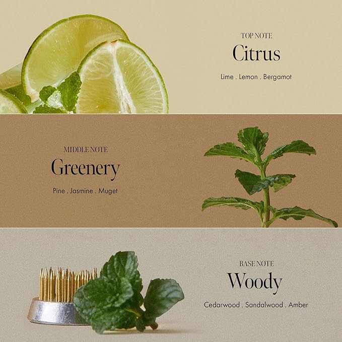 ANILLO Sunday Refresh Lime Hair Essence with Vitamin C, Tea Tree Leaf Oil, and Green Mint - Enhancing Hair Vitality, Citrus Scent, Paraben-Free (50ml / 1.69 fl. Oz)