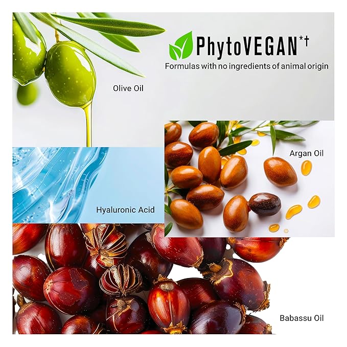 Frizz Control Hair Oil Capsules – Leave-In Serum for Frizz-Prone, Coarse or Curly Hair w/ Argan, Babassu & Ceramides | Mineral Oil, Sulfate and Paraben Free, Vegan | Humidity Defense & Shine | 15Ct