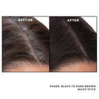 EVERPRO Gray Away Root Touchup Quick Stick, Black/Dark Brown, 0.1 Oz