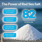 2 Pack H2Ocean Healing Rinse Mouthwash- Great Tasting Sea Salt & Xylitol Mouth Wash for Fresh Breath & Dry Mouth & Tonsil Stones - Alcohol & Fluoride Free - Arctic Ocean Mint, 16oz