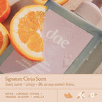 DAE Violet Hour Purple Shampoo - Fights Brasiness, Enhances Color, & Repairs Damage (10 oz)