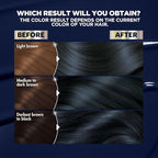 Garnier Hair Color Nutrisse Ultra Color Nourishing Creme, BL21 Reflective Blue Black (Blackberry Mojito) Permanent Hair Dye, 1 Count (Packaging May Vary)