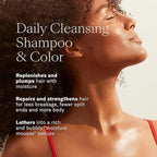 Josie Maran Love is in the Hair Kit - Includes Argan Moisture Plump Hair Shampoo & Conditioner Butter - Hydrating & Volumizing - Strengthens & Repairs Strands - Citrus Vanilla (2 Piece Set)