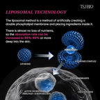 NMN Collagelly Lifting Mask – 2.1 fl. Oz with 10,000ppm NMN, 70% Collagen, Exosome Complex - Exosomes for Skin Serum, Exsomes, Exocell Peel-Off Face Mask for Anti-Aging, Firmness, Glow