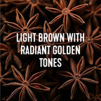 Madison Reed Radiant Hair Color Kit - 7NGV Light Golden Brown (Lucca Brown), Dimensional Gray Hair Blending Permanent Hair Dye, PPD-Free & Ammonia-Free, 2 Pack