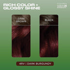 Clairol Natural Instincts Demi-Permanent Hair Dye, 4RV Dark Burgundy Hair Color, Pack of 1