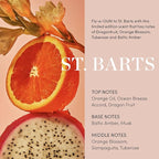 OUAI Scalp & Body Scrub, St. Barts - Exfoliating Body Scrub with Sugar & Coconut Oil Blend for Smooth, Moisturized Skin - Gentle Scalp Exfoliator for Removing Product Build Up (8.8 Oz)