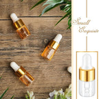 200 Pcs Mini Glass Oil Dropper Bottle Bulk, Clear Essential Small Empty Bottles Sample Containers Perfume Liquid Vials with Cap for Traveling (2 ml,Gold)