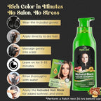 Herbishh Hair Color Shampoo for Gray Hair – Natural Hair Dye Shampoo – Colors Hair in Minutes – Lasts Up To 3-4 Weeks – 500ML – 3-In-1 Hair Color – Colors, Cleanses, and Conditions (Black)