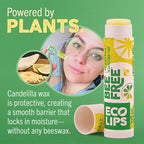 Eco Lips Vegan Superfruit Bee Free Lip Balm Includes Candelilla Wax, Organic Cocoa Butter and Coconut Oil. 100% Plastic-Free Plant Pod Packaging. 3-Pack