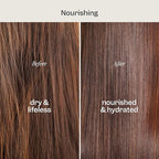 Renpure Coconut & Vitamin E Shampoo & Conditioner Set, Plant-Based – Nourishes & Seals In Moisture For Soft, Healthy Hair – For Dry, Lifeless Hair – Coconut Oil & Vitamin E - 24 Fl Oz each, 2 Pack