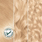 Garnier Hair Color Nutrisse Nourishing Creme, 100 Extra-Light Natural Blonde (Chamomile) Permanent Hair Dye, 2 Count (Packaging May Vary)