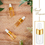 200 Pcs Mini Glass Oil Dropper Bottle Bulk, Clear Essential Small Empty Bottles Sample Containers Perfume Liquid Vials with Cap for Traveling (3 ml,Gold)