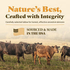 Whipped Tallow Balm, Vanilla Orange Cream Moisturizer, Natural Ingredients, Glass Jar, 2.85 oz, Face and Body Care