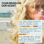 Pacifica Beach Day Hair Mist Perfume & Full Body Spray for Women - Body Mist Fragrance w/Bergamot, Orange Flower, Sandalwood, Amber, Musk & Suede Leather – Clean Beauty Alcohol-Free, Vegan 5 oz