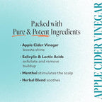 DERMA-E Scalp Exfoliating Rinse, Clarifying Rescue for Scalp Relief, Color-Safe pH Balance and Dandruff, 4 fl oz