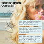 Pacifica Beauty, Indian Coconut Nectar Hair Perfume & Body Spray, Coconut and Creamy Vanilla Scent, Natural & Essential Oils, Alcohol Free, Clean Fragrance, Vegan & Cruelty Free