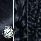 Garnier Hair Color Nutrisse Nourishing Creme, 22 Intense Blue Black (Mulberry) Permanent Hair Dye, 2 Count (Packaging May Vary)