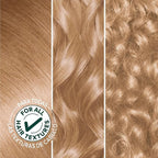 Garnier Hair Color Nutrisse Nourishing Creme, 82 Pearly Blonde (Biscotti) Permanent Hair Dye, 2 Count (Packaging May Vary)