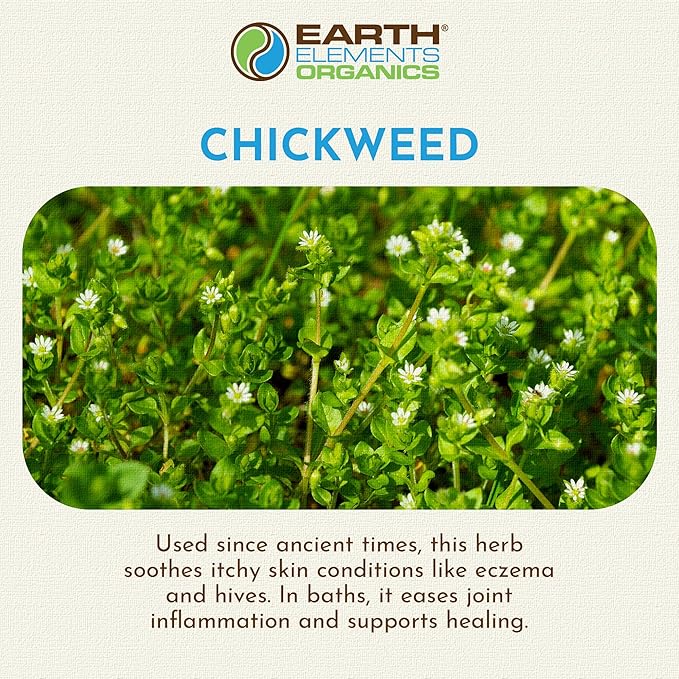 Chickweed Oil, Herbal Remedy Infused in Sunflower Seed Oil, Organic Skincare for All Skin Types - 1 fl oz