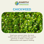 Chickweed Oil, Herbal Remedy Infused in Sunflower Seed Oil, Organic Skincare for All Skin Types - 1 fl oz