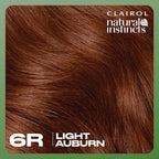 Clairol Natural Instincts Demi-Permanent Hair Dye, 6R Light Auburn Hair Color, Pack of 3