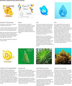 REGENSIFY Redensifying Hair Nutrition - Hair Regrowth Supplement with AnaGain Nu, Saw Palmetto, Ecklonia Cava, Coenyzme Q10, Tocotrienol, L-Carnitine | DHT Blocker | Reduce hairfall for Men & Women