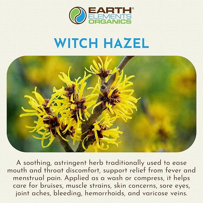 Witch Hazel Oil Raw with Sunflower Oil, Infused, Astringent, Skin Hydration, Moisturizer, Organic Skincare for All Skin Types – 1 fl oz