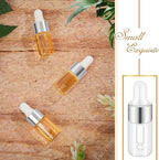 200 Pcs Mini Glass Oil Dropper Bottle Bulk, Clear Essential Small Empty Bottles Sample Containers Perfume Liquid Vials with Cap for Traveling (3 ml,Silver)